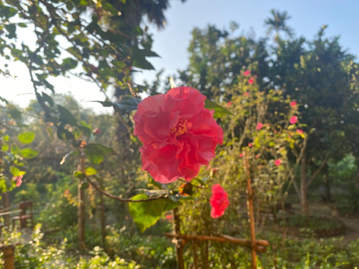 Muong Bi Homestay Hoa Binh Экстерьер фото