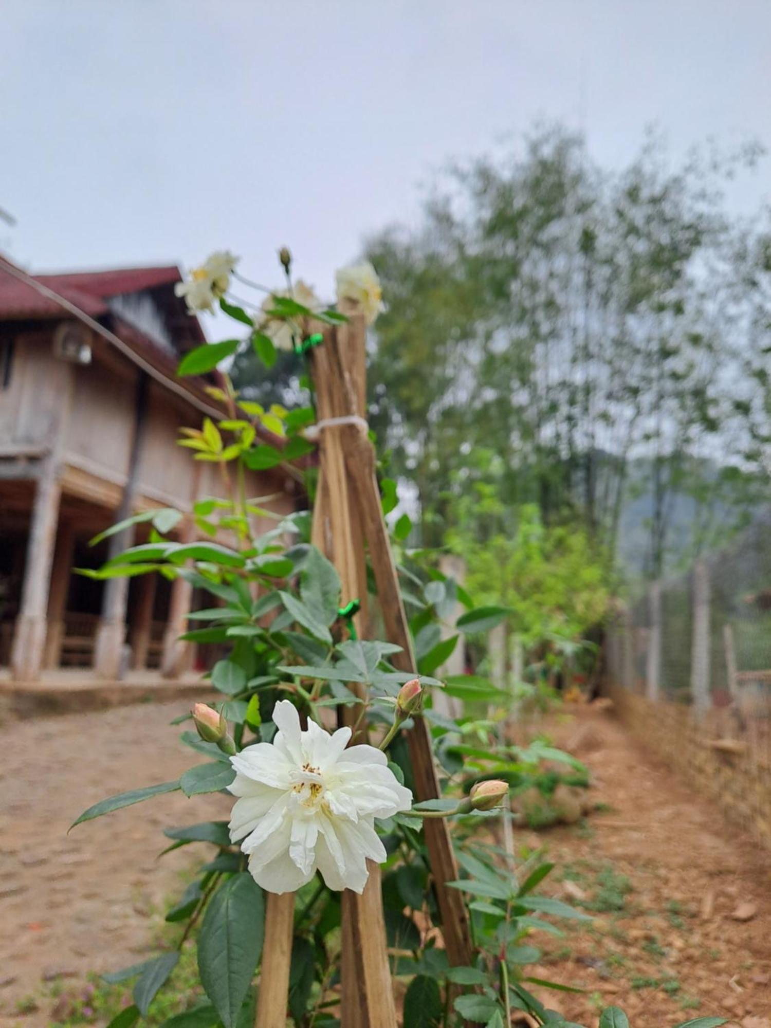 Muong Bi Homestay Hoa Binh Экстерьер фото