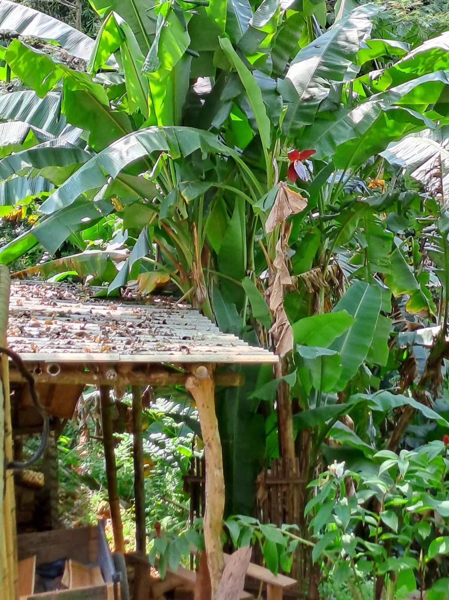 Muong Bi Homestay Hoa Binh Экстерьер фото