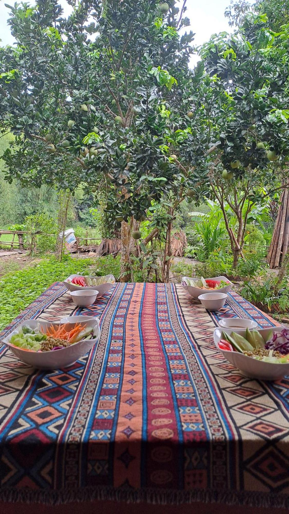Muong Bi Homestay Hoa Binh Экстерьер фото