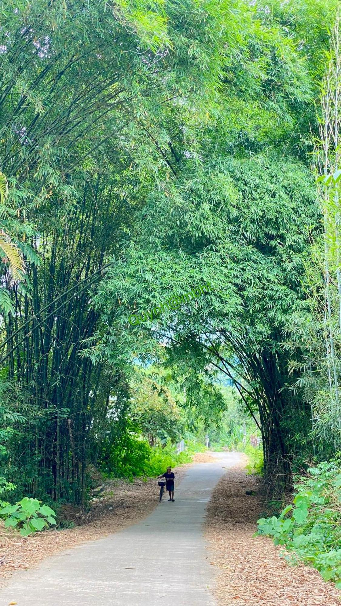 Muong Bi Homestay Hoa Binh Экстерьер фото