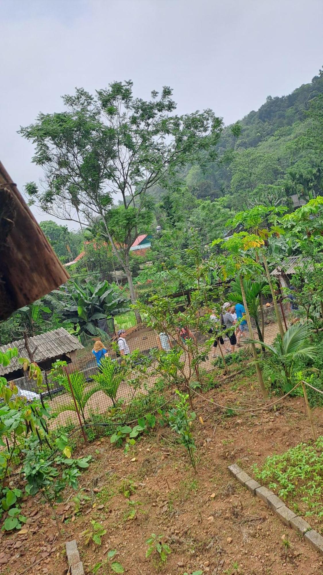 Muong Bi Homestay Hoa Binh Экстерьер фото