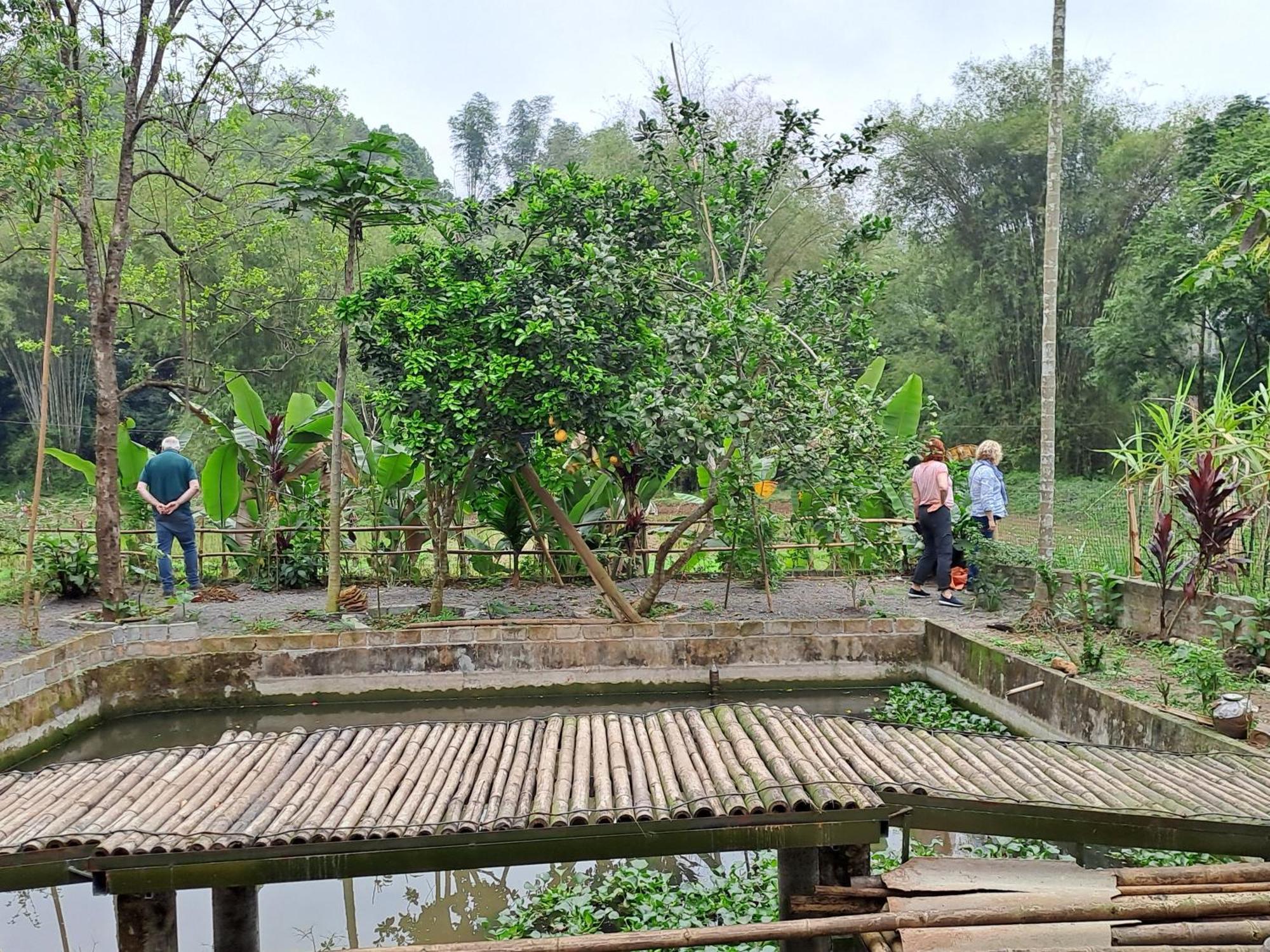 Muong Bi Homestay Hoa Binh Экстерьер фото